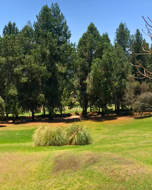 Lote en venta en San Jose De La Concepcion, La Calera, 7617 m² · foto 3 de 9
