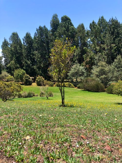Lote en venta en San Jose De La Concepcion, La Calera, 7617 m² · foto 4 de 9