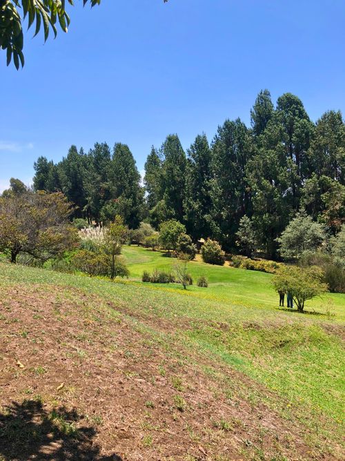 Lote en venta en San Jose De La Concepcion, La Calera, 7617 m² · foto 5 de 9