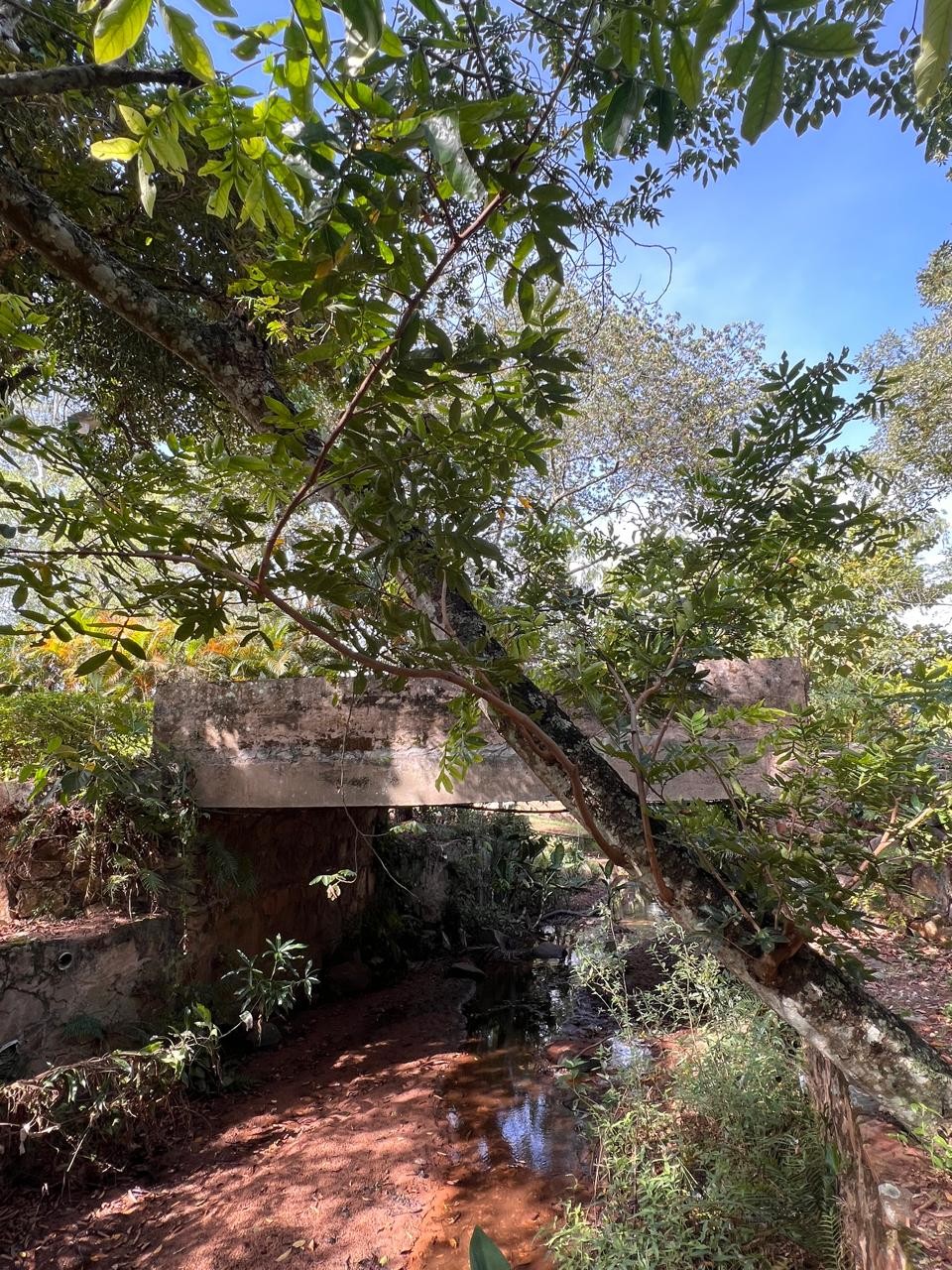 Exclusiva Casa Quinta en Nueva Colombia: Un Oasis de Naturaleza y Tranquilidad. Si anhela un estilo de vida rodeado de serenidad, aire puro y privacidad, esta propiedad es su destino ideal, estratégicamente ubicada en un entorno natural privilegiado. — foto 2