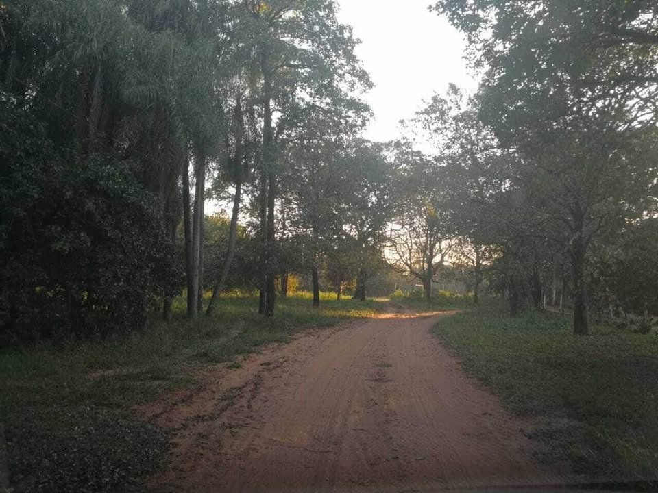 Terreno en venta en Lambaré — foto 2
