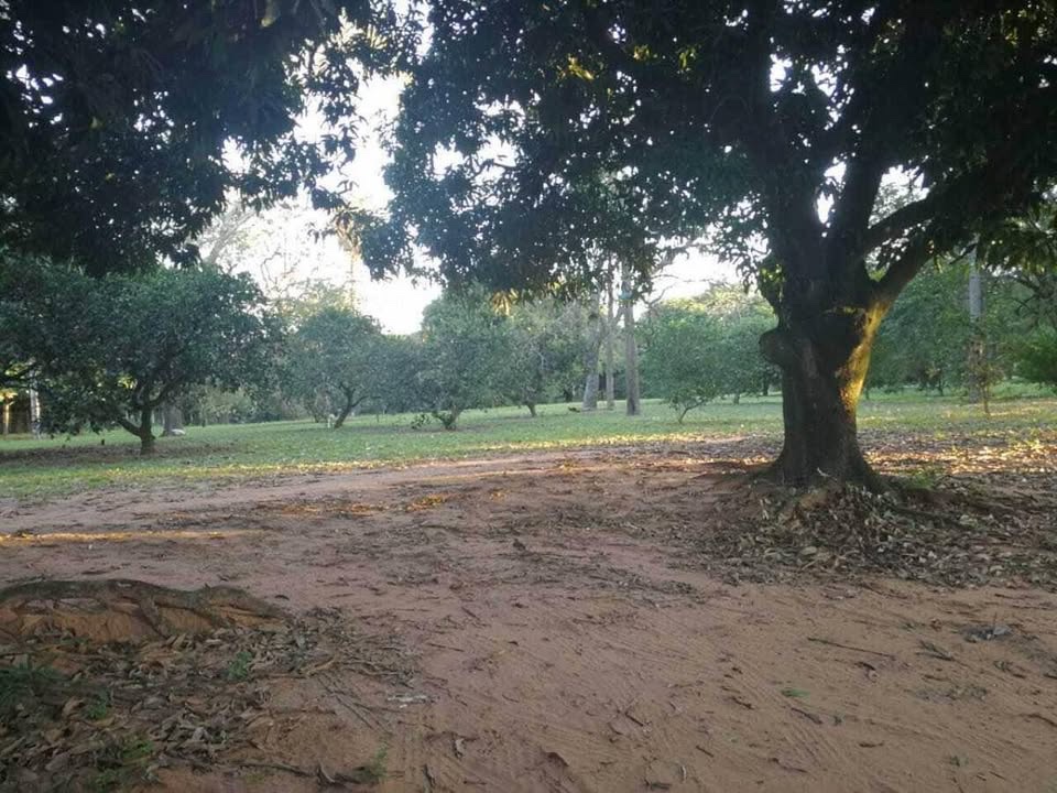 Terreno en venta en Lambaré — foto 3