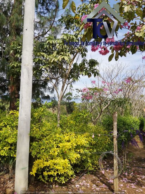 Lote en venta en Campo Verde, Piedecuesta, 14400 m² · foto 2 de 17
