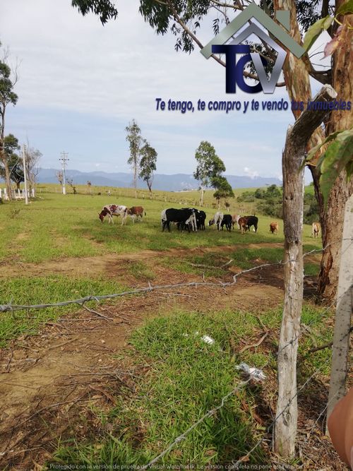 Lote en venta en Campo Verde, Piedecuesta, 14400 m² · foto 3 de 17
