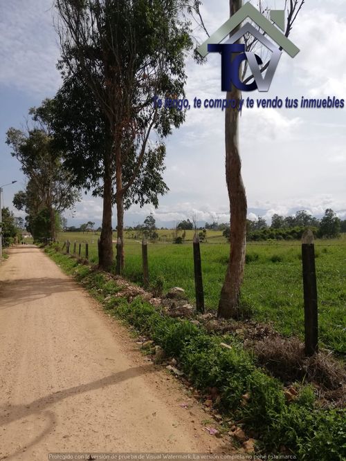 Lote en venta en Campo Verde, Piedecuesta, 14400 m² · foto 4 de 17