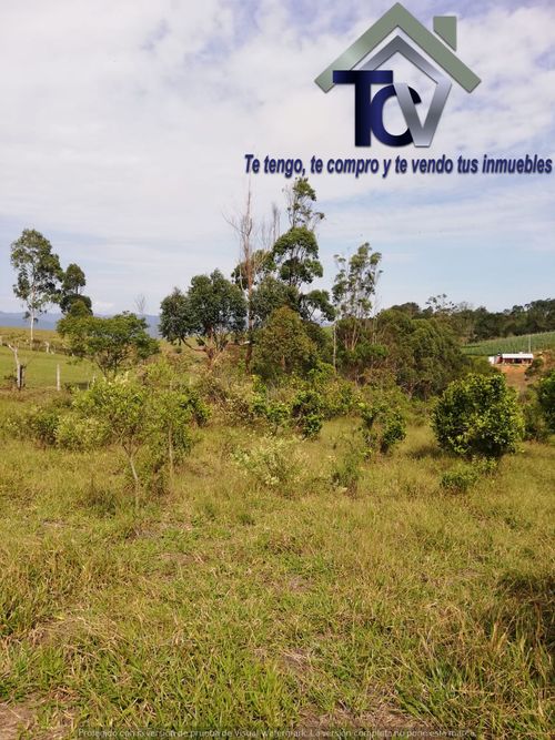 Lote en venta en Campo Verde, Piedecuesta, 14400 m² · foto 5 de 17