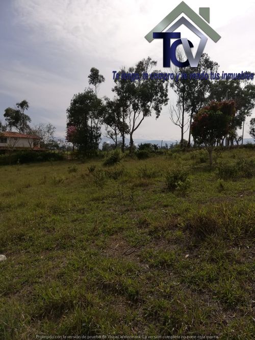 Lote en venta en Campo Verde, Piedecuesta, 14400 m² · foto 6 de 17