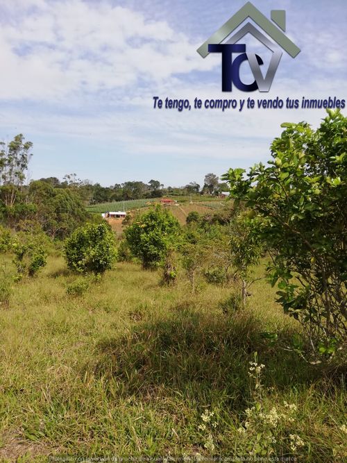 Lote en venta en Campo Verde, Piedecuesta, 14400 m² · foto 7 de 17