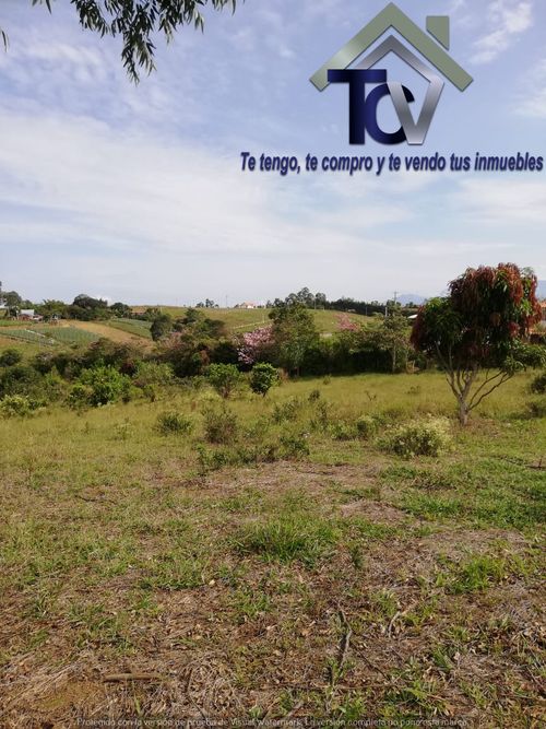 Lote en venta en Campo Verde, Piedecuesta, 14400 m² · foto 8 de 17