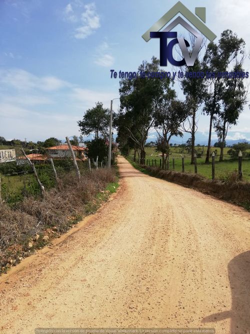 Lote en venta en Campo Verde, Piedecuesta, 14400 m² · foto 9 de 17