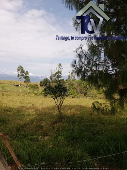 Lote en venta en Campo Verde, Piedecuesta, 14400 m² · foto 10 de 17