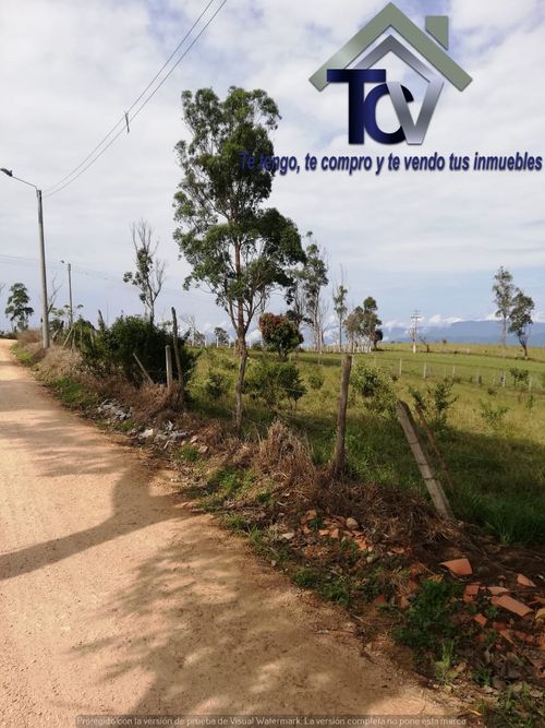 Lote en venta en Campo Verde, Piedecuesta, 14400 m² · foto 11 de 17