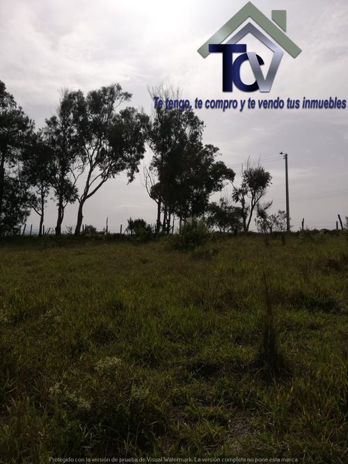 Lote en venta en Campo Verde, Piedecuesta, 14400 m² · foto 12 de 17