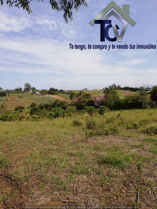 Lote en venta en Campo Verde, Piedecuesta, 14400 m² · foto 13 de 17