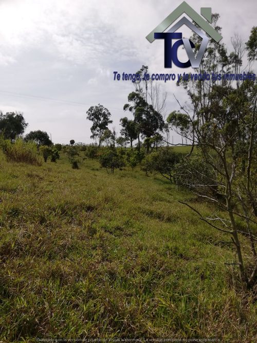 Lote en venta en Campo Verde, Piedecuesta, 14400 m² · foto 14 de 17