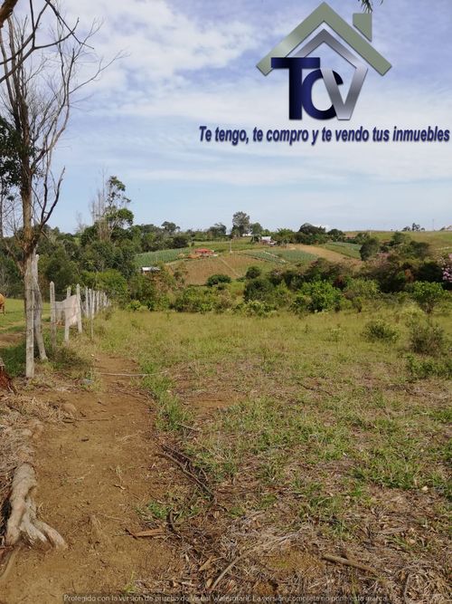 Lote en venta en Campo Verde, Piedecuesta, 14400 m² · foto 15 de 17