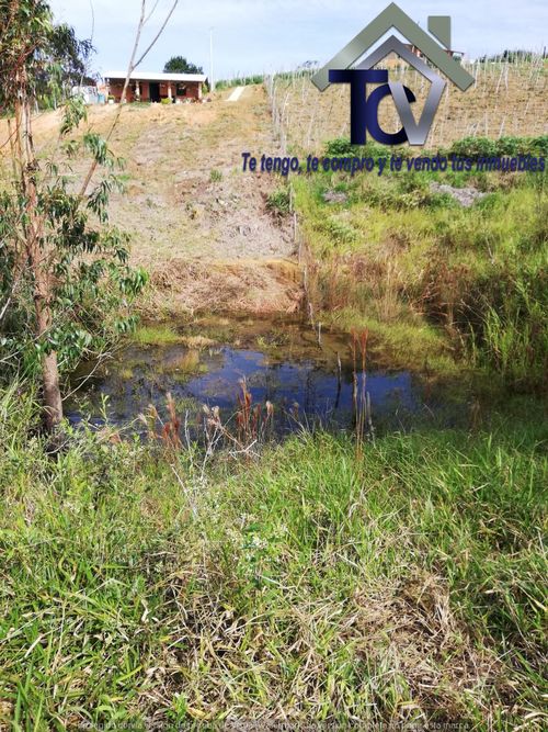 Lote en venta en Campo Verde, Piedecuesta, 14400 m² · foto 16 de 17
