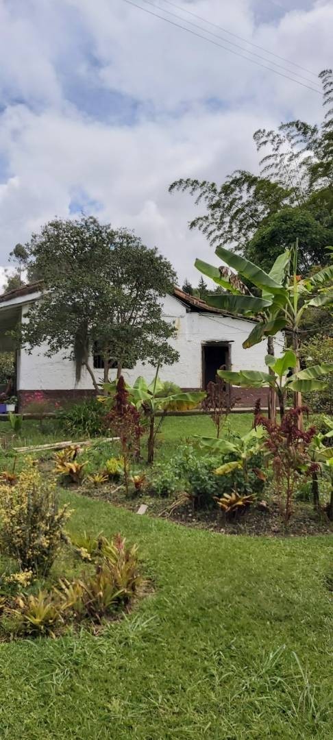 4BR House in Galicia (174 m²) for Sale - 3