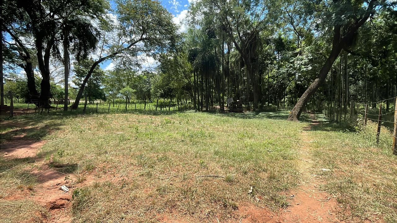 Vendo 50 hectáreas en Piribebuy - Paraguari — foto 3