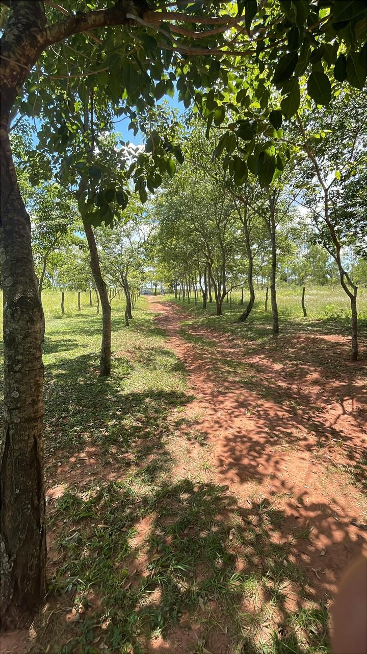 Vendo 50 hectáreas en Piribebuy - Paraguari — foto 2