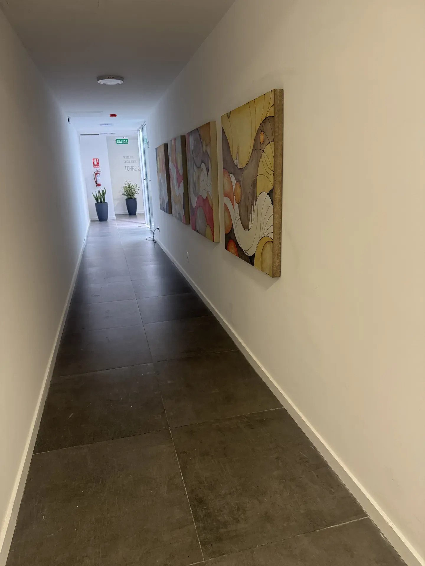 APARTAMENTO EN ALQUILER, 1 DORMITORIO A ESTRENAR, CON PATIO Y GARAJE EN LA BLANQUEADA. · Foto 9