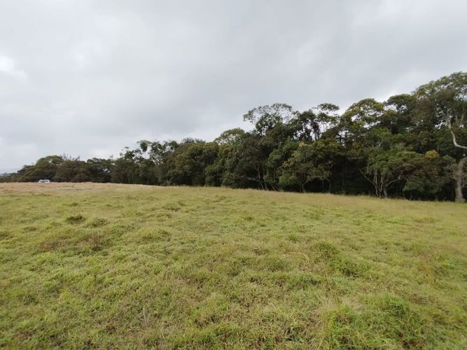 Lote en venta en Lomitas, La Ceja, 1250 m² · foto 2 de 10