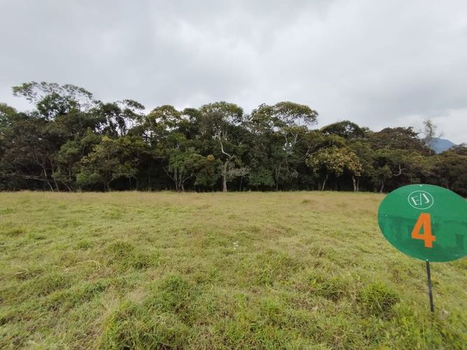 Lote en venta en Lomitas, La Ceja, 1250 m² · foto 3 de 10