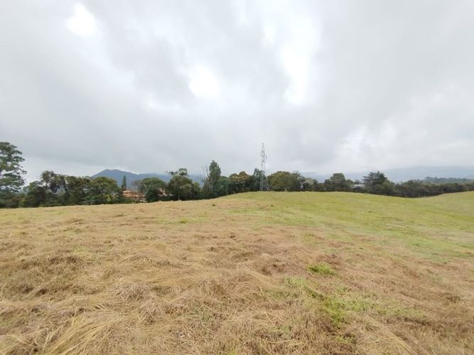Lote en venta en Lomitas, La Ceja, 1250 m² · foto 4 de 10