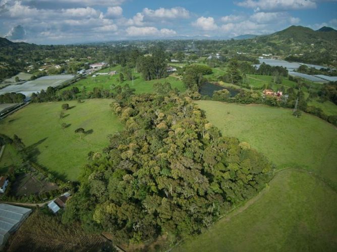 Lote en venta en Lomitas, La Ceja, 1250 m² · foto 5 de 10