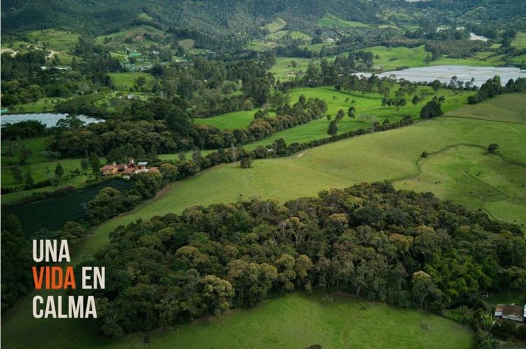 Lote en venta en Lomitas, La Ceja, 1250 m² · foto 6 de 10