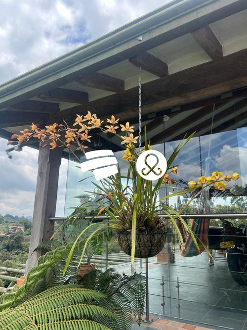 Casa de 3 alcobas en venta en Las Garzonas, El Carmen de Viboral · foto 10 de 24