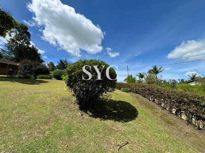 Finca en venta en El Carmen De Viboral, El Carmen de Viboral, 4900 m² · foto 21 de 21