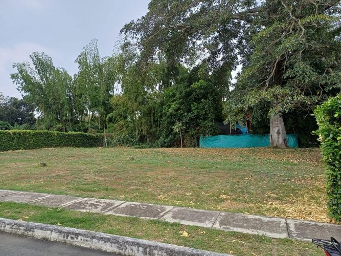 Lote en venta en Rozo, Palmira, 1357 m² · foto 4 de 12