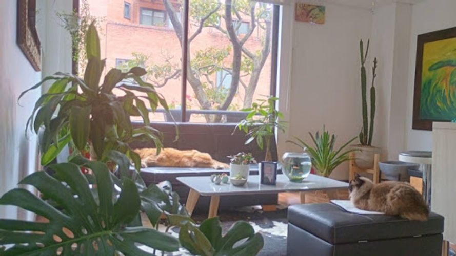 Apartamento de 2 alcobas en venta en Chapinero Norte, Bogotá, 52 m² · foto 2 de 8
