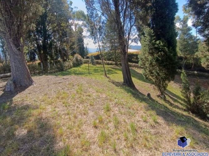 Lote en venta en Guarne, 5558 m² · foto 6 de 6