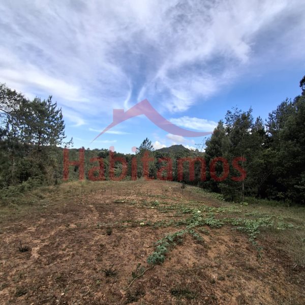 Land in Los salados for Sale