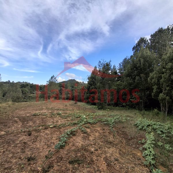 Land in Los salados for Sale - 2