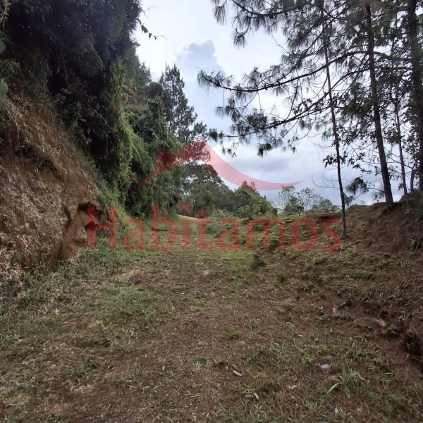 Land in Los salados for Sale - 3