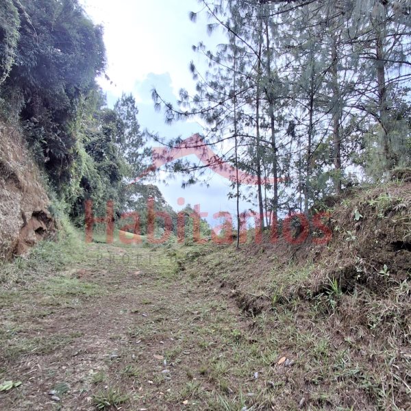 Land in Los salados for Sale - 4