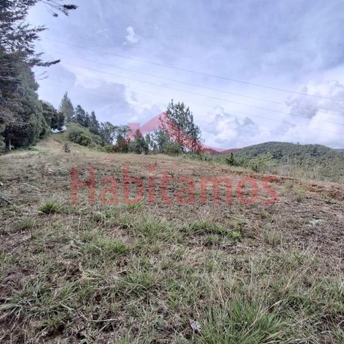 Lote en venta en Los Salados, El Retiro, 11646 m² · foto 10 de 24