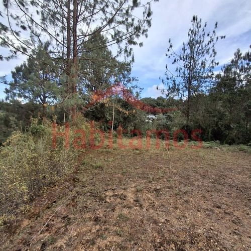 Lote en venta en Los Salados, El Retiro, 11646 m² · foto 15 de 24