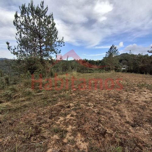 Lote en venta en Los Salados, El Retiro, 11646 m² · foto 23 de 24