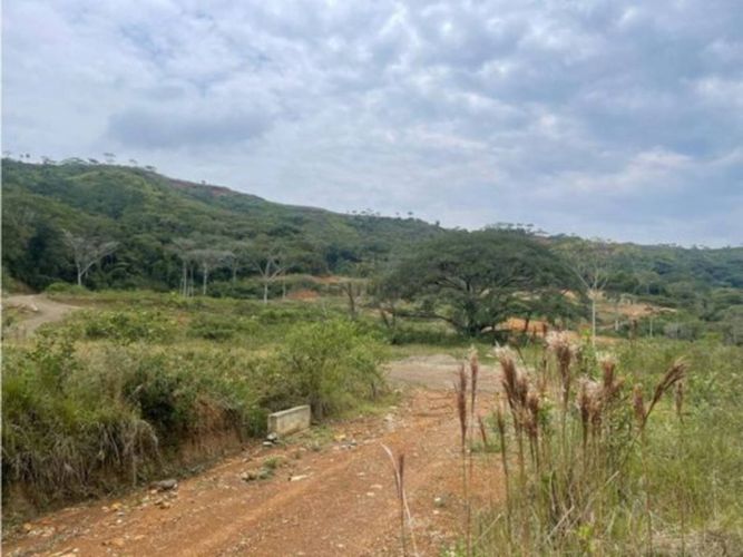 Lote en venta en San Antonio, Jamundí, 450 m² · foto 4 de 10