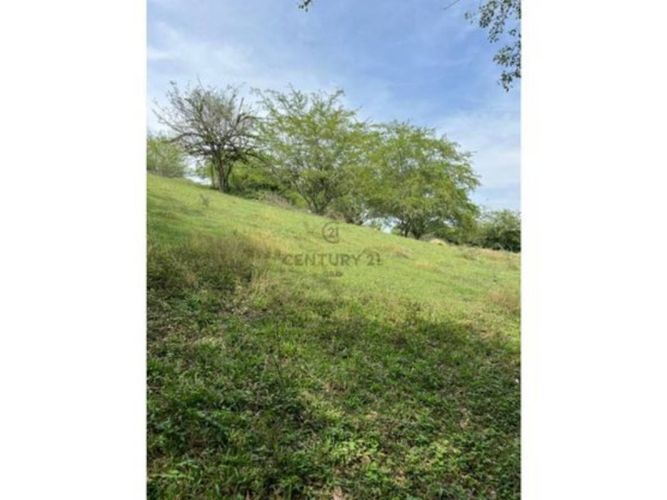 Lote en venta en La Rivera I, Cali, 16926 m² · foto 6 de 8