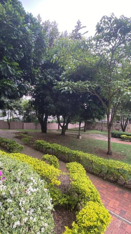 Apartamento en venta en Pance, Cali · foto 2 de 24