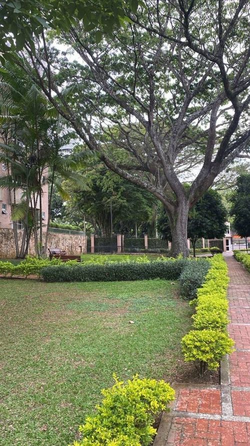 Apartamento en venta en Pance, Cali · foto 8 de 24
