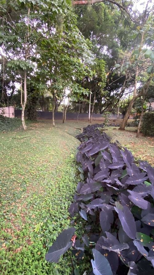 Apartamento en venta en Pance, Cali · foto 17 de 24