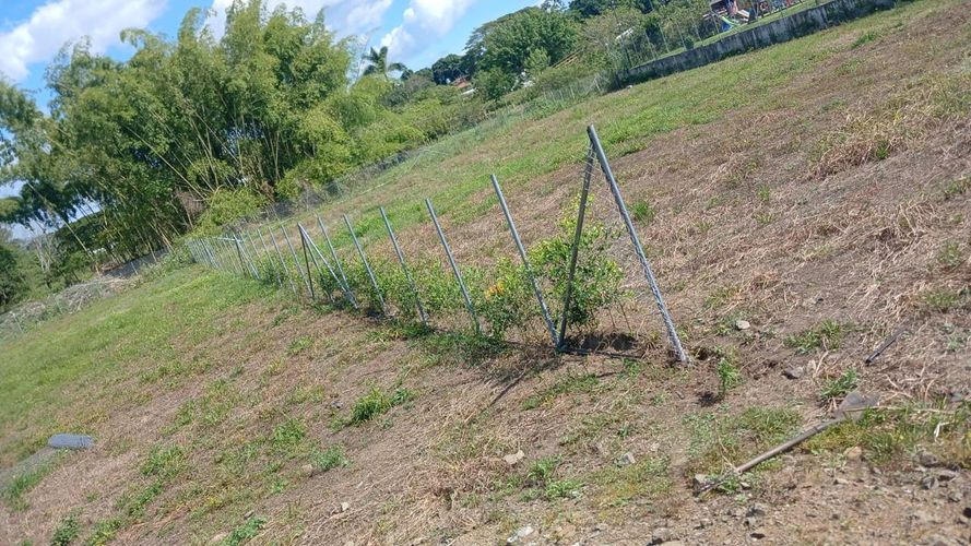 Lote en venta en Cerritos, Pereira, 4547 m² · foto 3 de 4