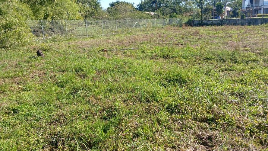 Lote en venta en Cerritos, Pereira, 4547 m² · foto 4 de 4