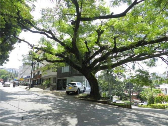 Edificio en venta en San Fernando Viejo, Cali, 511 m² · foto 18 de 18